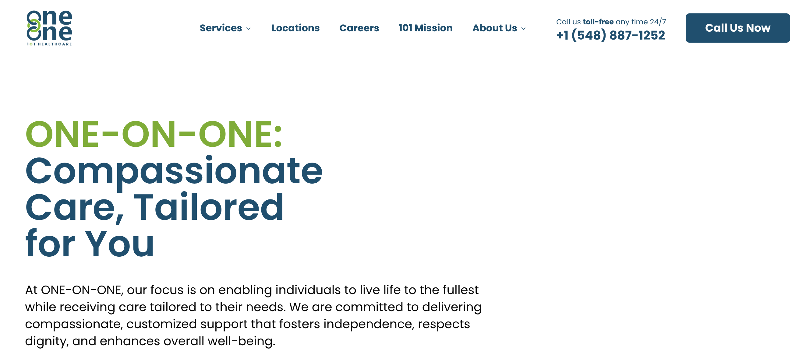 101 Healthcare Website Preview