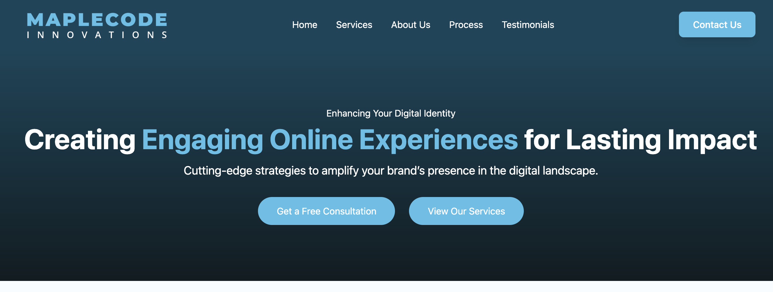 101 Healthcare Website Preview